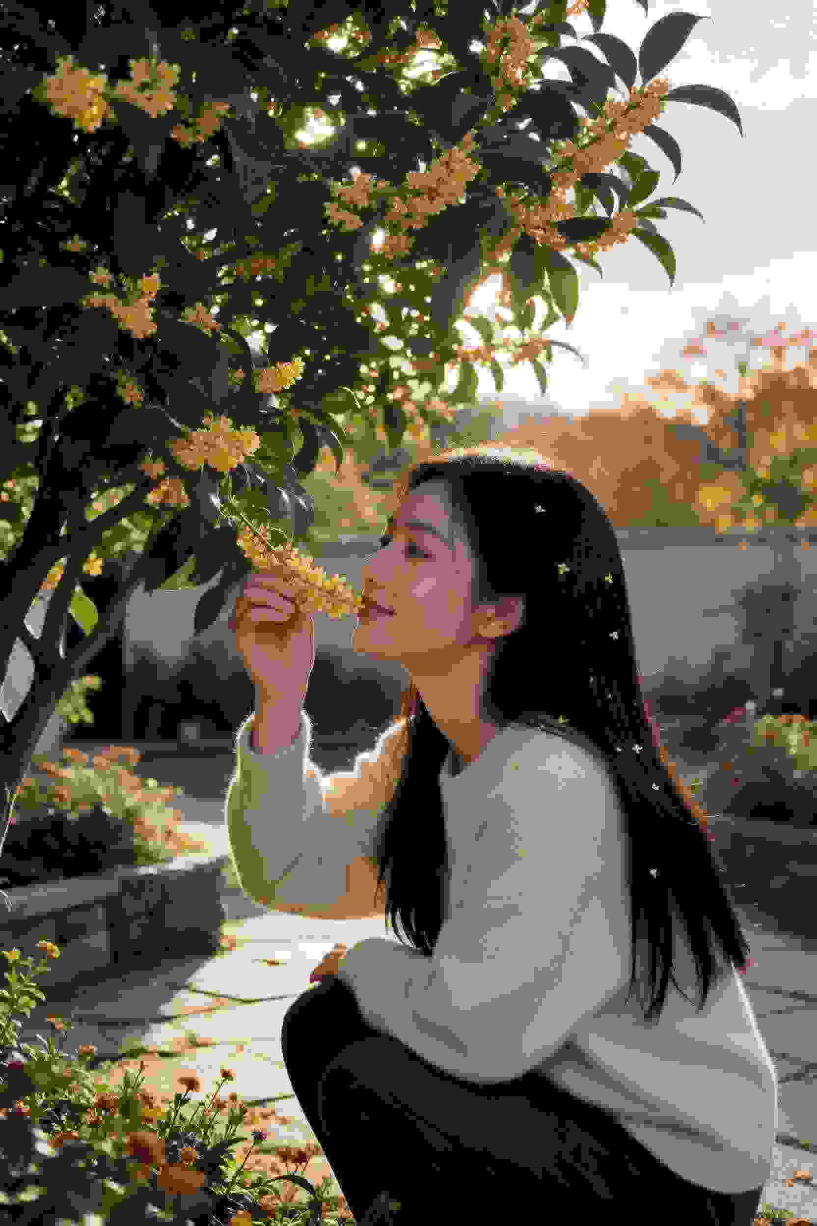 甜蜜复仇录